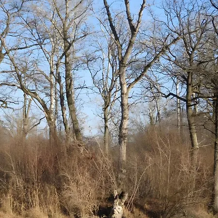 Merdin Lägenhet Kappel-Grafenhausen
